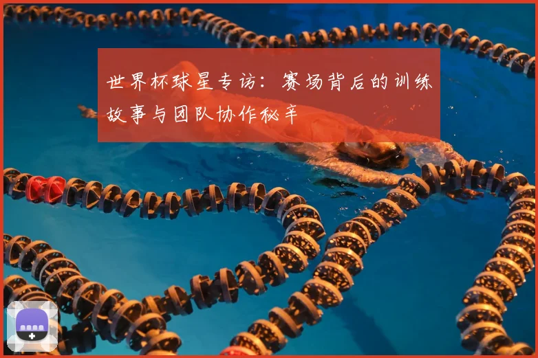 世界杯球星专访：赛场背后的训练故事与团队协作秘辛