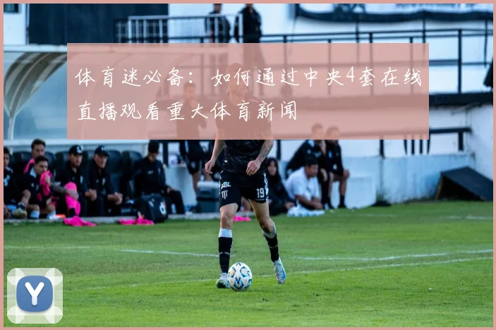 体育迷必备：如何通过中央4套在线直播观看重大体育新闻
